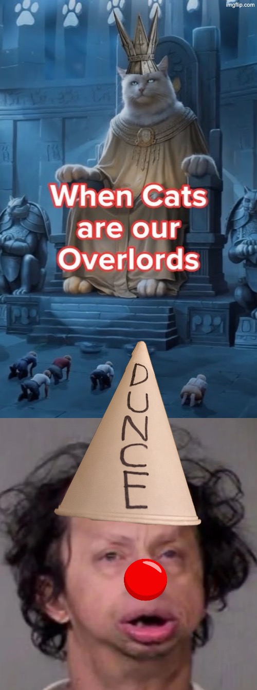 We Become Dunces | image tagged in cats,funny cats,evil overlord rules,you are not a clown you are the entire circus,duhhh dumbass,the boss | made w/ Imgflip meme maker