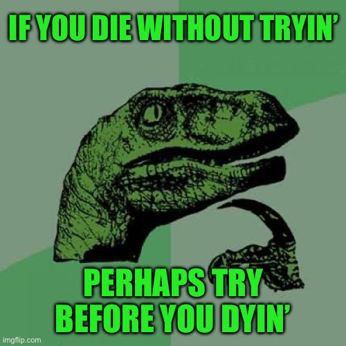 Philosoraptor Meme | If you die without tryin’; Perhaps try before you dyin’ | image tagged in memes,philosoraptor | made w/ Imgflip meme maker