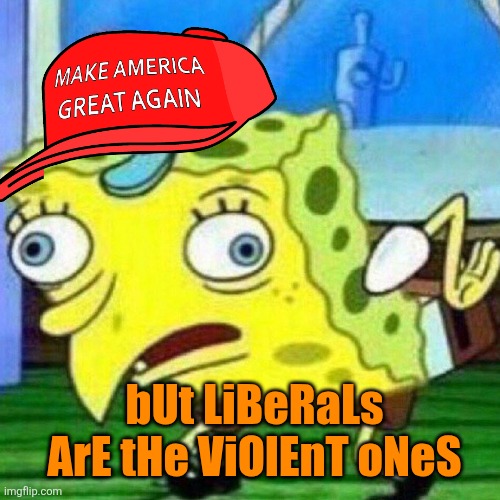 bUt LiBeRaLs ArE tHe ViOlEnT oNeS | image tagged in triggerpaul | made w/ Imgflip meme maker