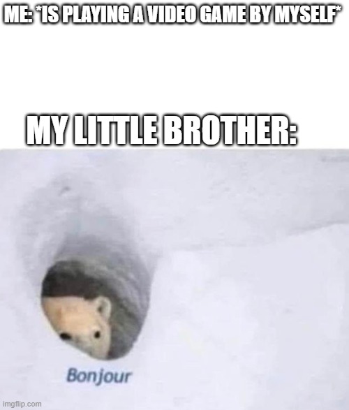 Bonjour | ME: *Is playing a video game by myself*; MY LITTLE BROTHER: | image tagged in bonjour,video games,siblings,little brother | made w/ Imgflip meme maker