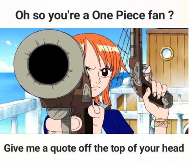 nami got a gun Blank Meme Template