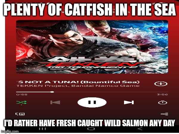 Reel it In (Carefully) | Plenty of Catfish in the Sea; I'd rather have fresh caught wild salmon any day | image tagged in woman yelling at cat,i should buy a boat cat,fishing for upvotes,gone fishing | made w/ Imgflip meme maker