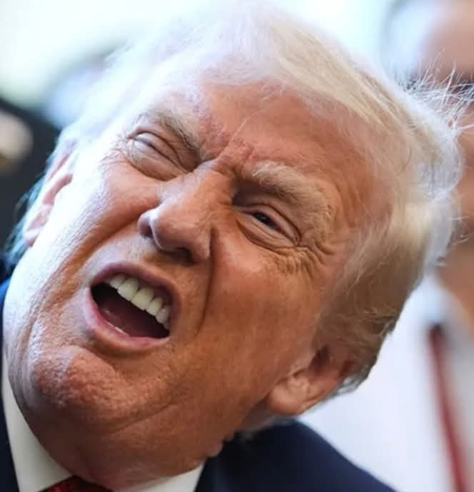 ugly Trump Blank Meme Template