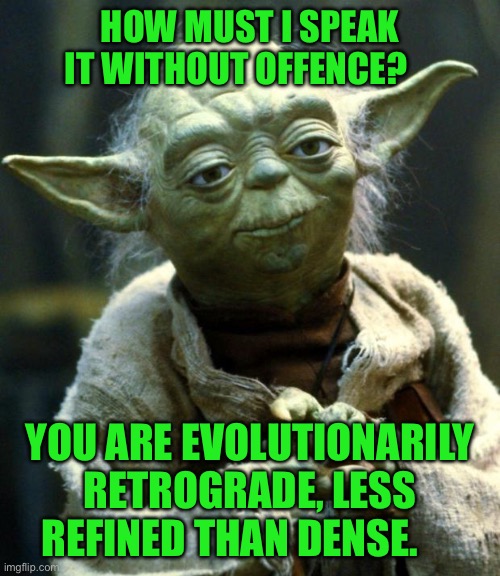 Star Wars Yoda | How must I speak it without offence? You are evolutionarily retrograde, less refined than dense. | image tagged in memes,star wars yoda | made w/ Imgflip meme maker
