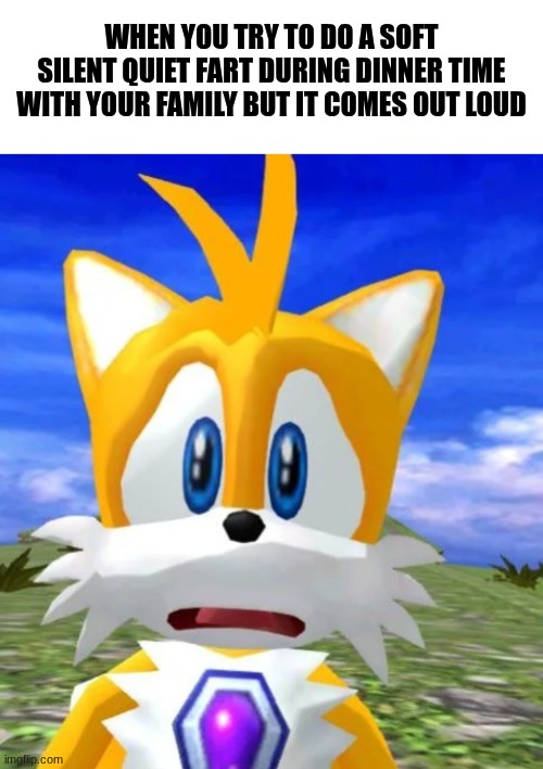 FART! | when you try to do a soft silent quiet fart during dinner time with your family but it comes out loud | image tagged in distressed tails,fart,dinner,time,funny | made w/ Imgflip meme maker