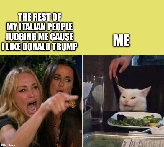 I dunno if they hate more president Trump or me. Maybe both | The rest of my Italian people judging me cause I like Donald Trump; Me | image tagged in angry lady cat | made w/ Imgflip meme maker