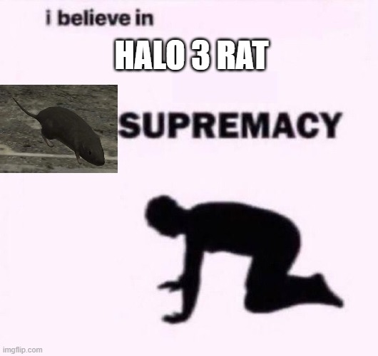 long the live the halo 3 rat | halo 3 rat | image tagged in i belive in supermacy,halo 3 rat,halo,memes,2000s | made w/ Imgflip meme maker