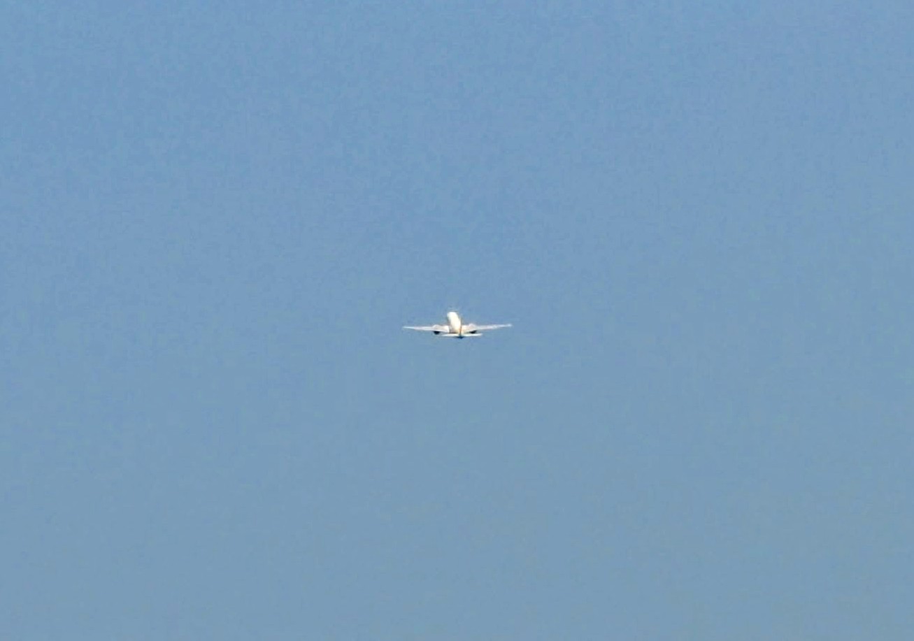 Plane Blank Meme Template