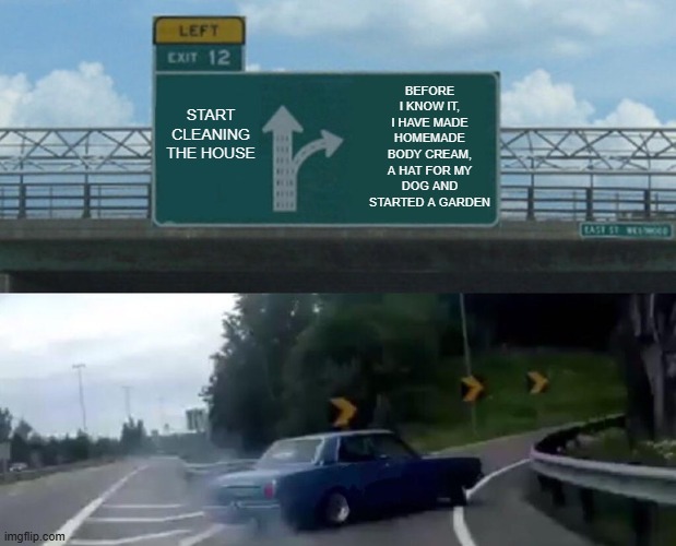 split road | Before I know it, I have made homemade body cream, a hat for my dog and started a garden; start cleaning the house | image tagged in split road | made w/ Imgflip meme maker