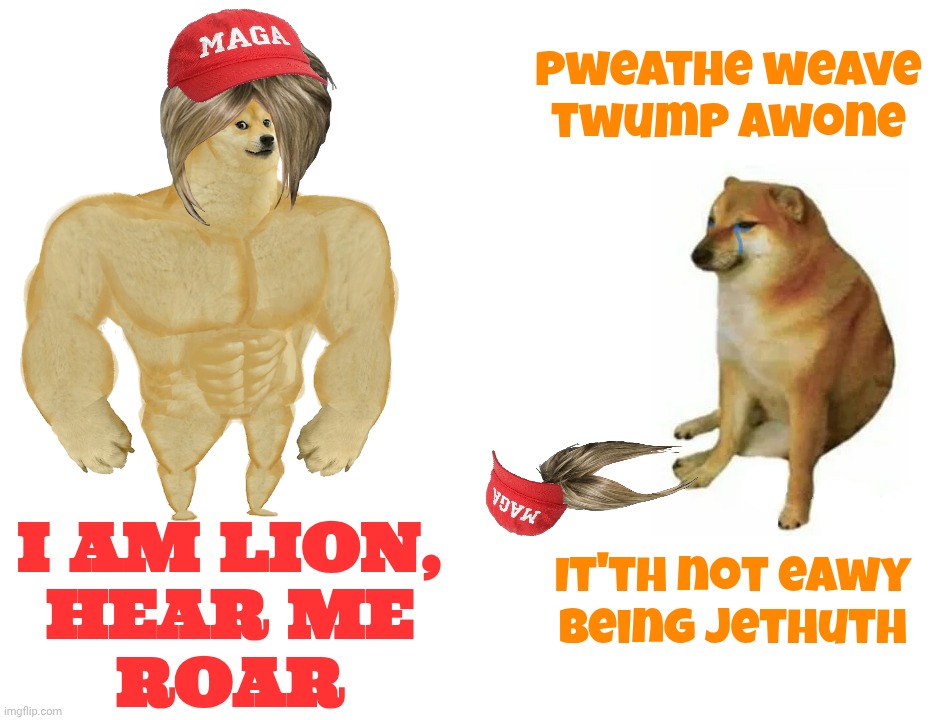 The only ones who are bigger crybabies than Trump are his colicky MAGAt snowflake fanbois | pweathe weave
twump awone; I am lion,
hear me
roar; It'th not eawy
 being Jethuth | image tagged in buff doge vs cheems,i am lion hear me roar,magat snowflakes,bunch of crybabies,don't make fun of trump,just because he's jesus | made w/ Imgflip meme maker
