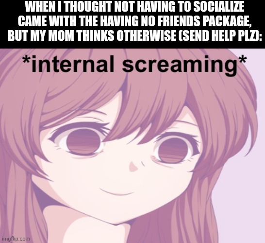 I genuinely don't want to go to the family reunion | When I thought not having to socialize came with the having no friends package, but my Mom thinks otherwise (send help plz): | image tagged in anime girl internal screaming | made w/ Imgflip meme maker