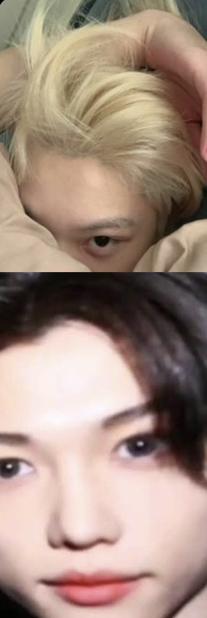 Skz felix Blank Meme Template