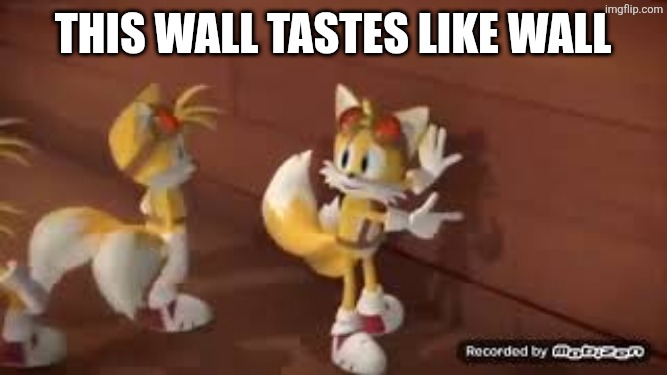 Hey this wall taste like dirt | This wall tastes like wall | image tagged in hey this wall taste like dirt | made w/ Imgflip meme maker