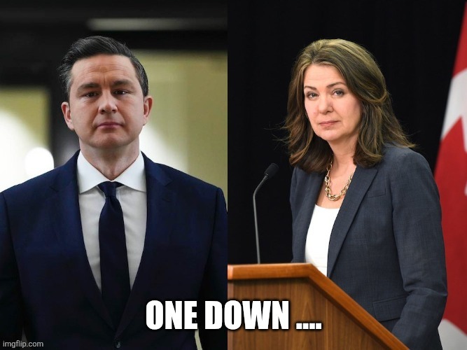 Canadian politics | image tagged in political meme | made w/ Imgflip meme maker