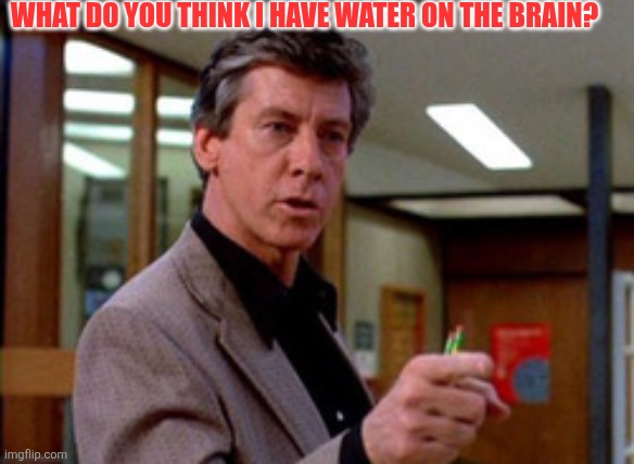 Waterv | What do you think I have water on the brain? | image tagged in breakfast club,funny memes | made w/ Imgflip meme maker