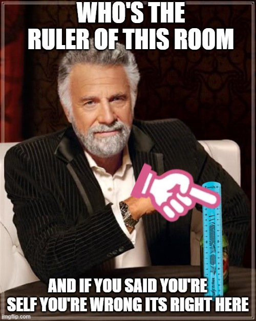 who is it | who's the ruler of this room; and if you said you're self you're wrong its right here | image tagged in memes,the most interesting man in the world | made w/ Imgflip meme maker