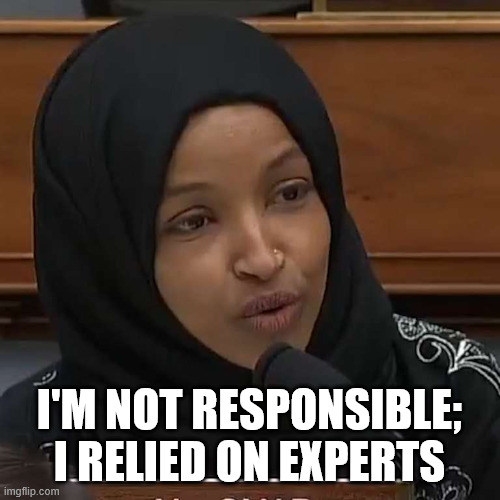 Ilhan Omar | I'm not responsible; I relied on experts | image tagged in ilhan omar | made w/ Imgflip meme maker