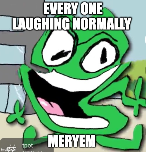 P. Twoddy | every one laughing Normally; Meryem | image tagged in p twoddy | made w/ Imgflip meme maker