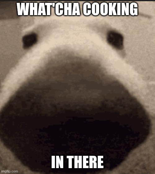 Sniff dog | What'cha cooking In there | image tagged in sniff dog | made w/ Imgflip meme maker