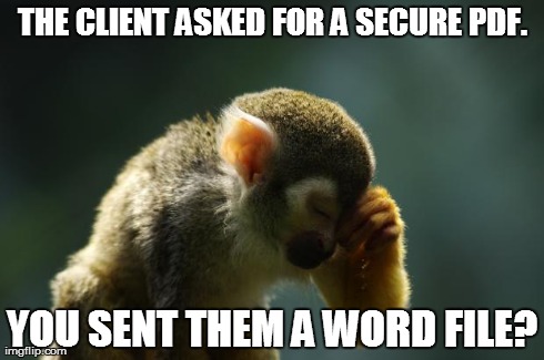 THE CLIENT ASKED FOR A SECURE PDF. YOU SENT THEM A WORD FILE? | image tagged in you did what | made w/ Imgflip meme maker