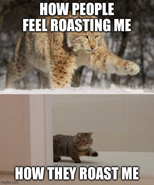 Big and smol cat | How people feel roasting me; How they roast me | image tagged in big and smol cat | made w/ Imgflip meme maker