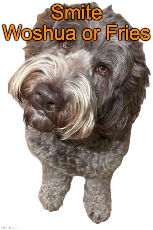 Northers Dog (Transparent) | Smite Woshua or Fries | image tagged in northers dog transparent,voting game s19 | made w/ Imgflip meme maker