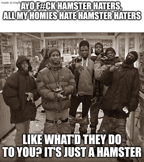why do hamsters get hate? | ayo f#ck hamster haters, 
all my homies hate hamster haters; like what'd they do to you? it's just a hamster | image tagged in all my homies hate | made w/ Imgflip meme maker