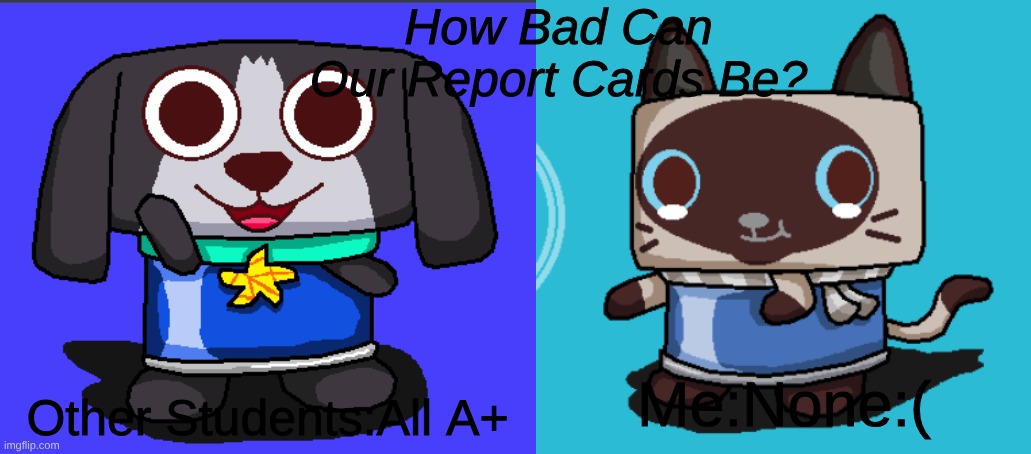 How Bad can Our Report Cards be? | How Bad Can Our Report Cards Be? Other Students:All A+; Me:None:( | image tagged in school memes,high school | made w/ Imgflip meme maker