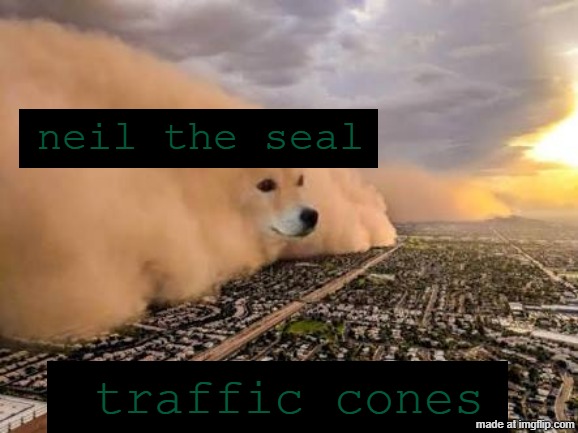 neil the seal having beef with traffic cones for some reason | neil the seal; traffic cones | image tagged in dust storm dog,memes | made w/ Imgflip meme maker