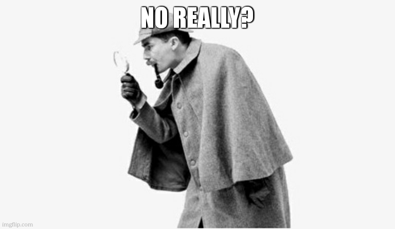 no shit sherlock  | no really? | image tagged in no shit sherlock | made w/ Imgflip meme maker
