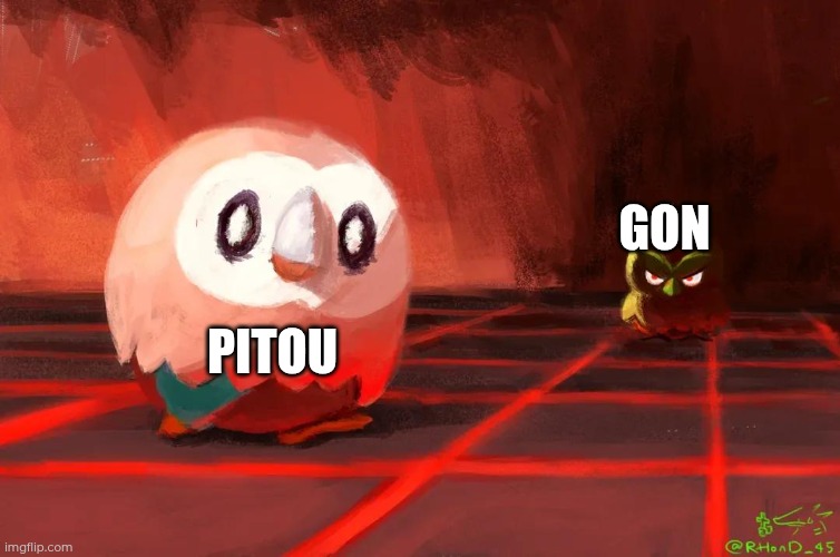 That one famous hunter x hunter scene | Gon; Pitou | image tagged in rowlett vs browt | made w/ Imgflip meme maker