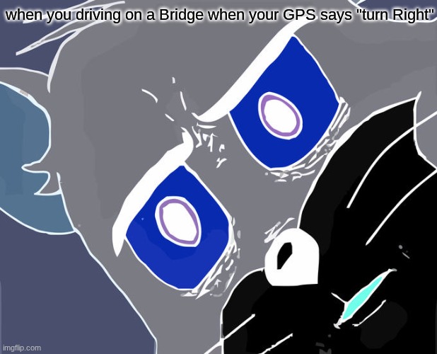 "turn Right" | when you driving on a Bridge when your GPS says "turn Right" | image tagged in memes,unsettled tom | made w/ Imgflip meme maker