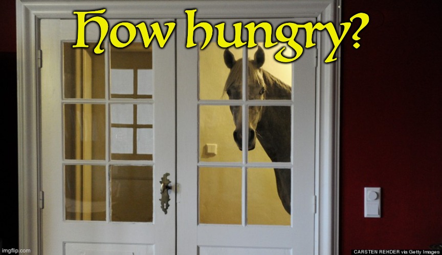 .__. | How hungry? | image tagged in ominous horse | made w/ Imgflip meme maker