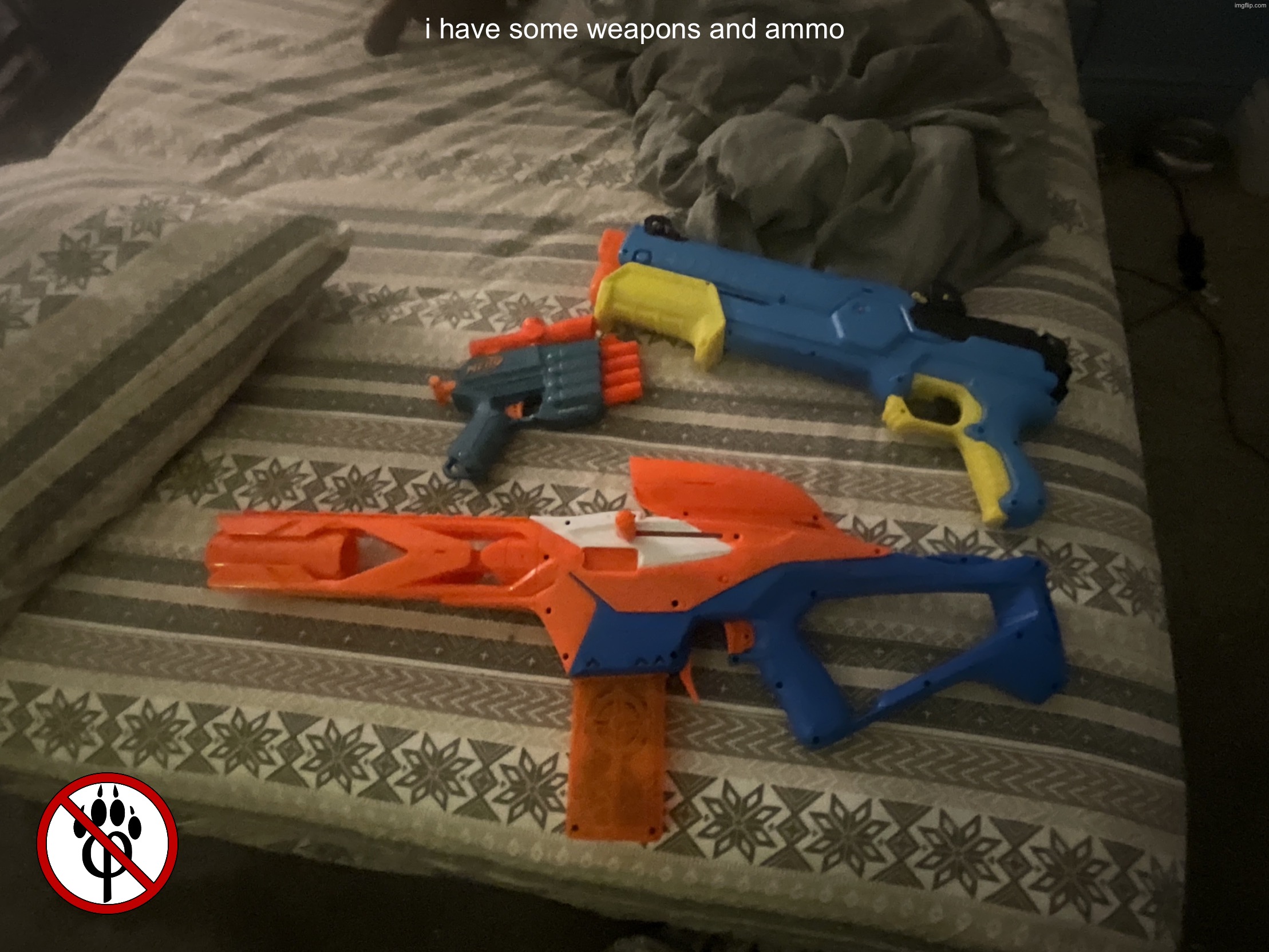 image.jpg | i have some weapons and ammo | image tagged in image jpg | made w/ Imgflip meme maker