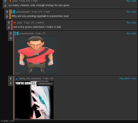 do not the eeveelutions | image tagged in pokemon,goon,why does this exist | made w/ Imgflip meme maker