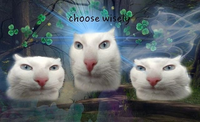 Choose wisely cats Blank Meme Template