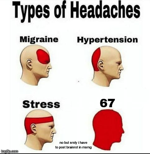 Types of Headaches meme | 67; no but srsly i have to post brainrot in msmg | image tagged in types of headaches meme | made w/ Imgflip meme maker