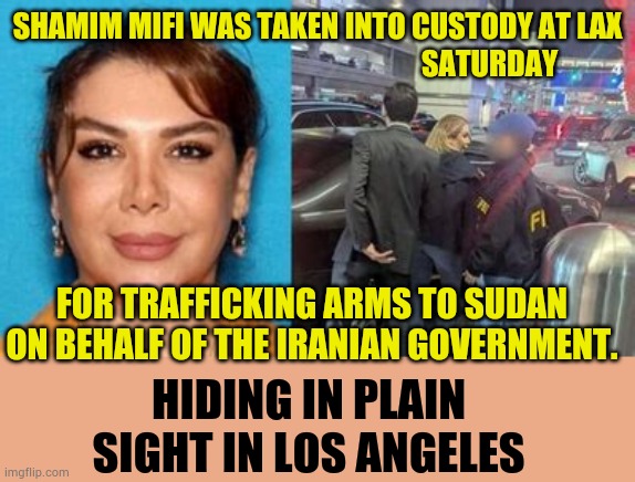 Hiding In Plain Sight In Los Angeles | Shamim Mifi was taken into custody at lax; Saturday; For trafficking arms to Sudan on behalf of the Iranian government. Hiding in plain sight in Los Angeles | image tagged in memes,politics,traffic,arms,hiding,plain sight | made w/ Imgflip meme maker