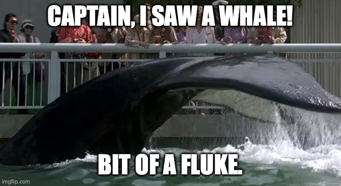 Captain I saw a whale | Captain, I saw a whale! Bit of a fluke. | image tagged in star trek,gracie,whale | made w/ Imgflip meme maker