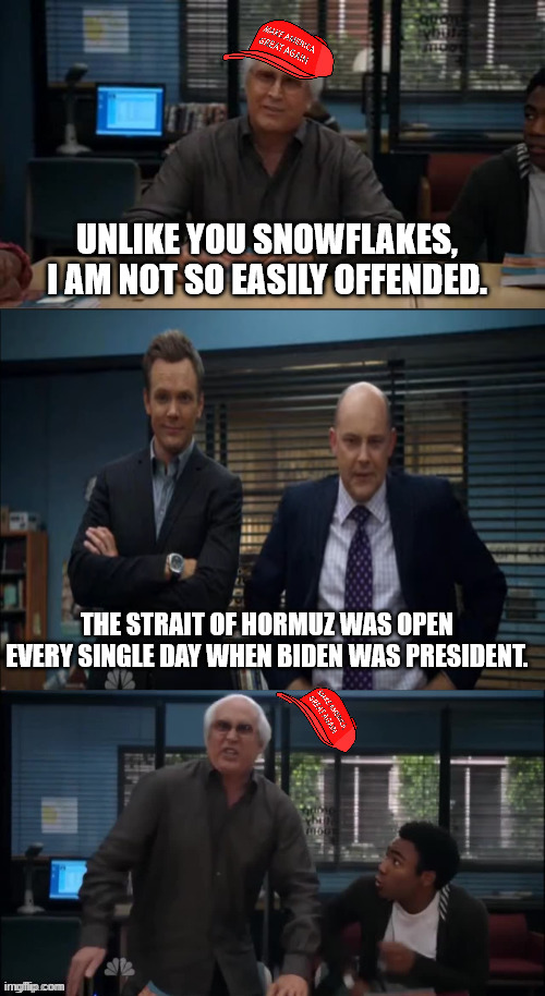 MAGA Snowflake | unlike you snowflakes, I am not so easily offended. The strait of Hormuz was open every single day when Biden was President. | image tagged in maga snowflake | made w/ Imgflip meme maker