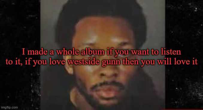 I made a whole album if you want to listen to it, if you love westside gunn then you will love it | image tagged in d4vd mugshot | made w/ Imgflip meme maker