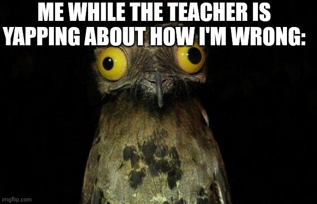 Why wont they ever stop | Me while the teacher is yapping about how I'm wrong: | image tagged in memes,weird stuff i do potoo | made w/ Imgflip meme maker