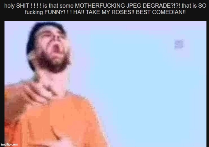 jpeg degrade | image tagged in jpeg degrade | made w/ Imgflip meme maker
