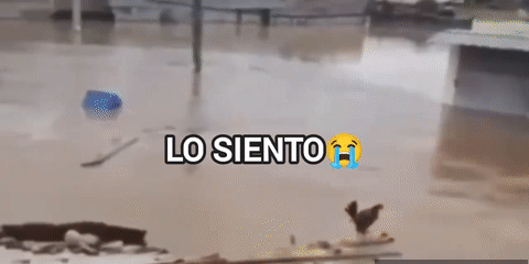 High Quality los siento wilson Blank Meme Template