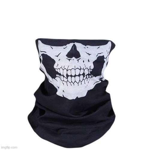 I'd wear this with cat ears and a maid outfit just to spite botslayer | image tagged in furry mask | made w/ Imgflip meme maker