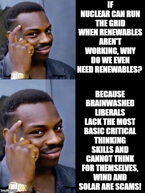 Brainwashed liberals lack the most basic critical thinking skills!!! | If nuclear can run the grid when renewables aren't working, why do we even need renewables? Because brainwashed liberals lack the most basic critical thinking skills and cannot think for themselves, wind and solar are scams! | image tagged in sam elliott special kind of stupid,stupid people,stupid liberals | made w/ Imgflip meme maker