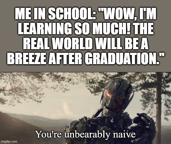 Something doesn't add up. | Me in school: "Wow, I'm
learning so much! The
real world will be a
breeze after graduation." | image tagged in memes,you're unbearably naive,school,graduation,real life,oh well | made w/ Imgflip meme maker