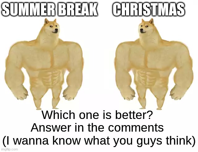 Which is better? | summer break; Christmas; Which one is better? 

Answer in the comments 

(I wanna know what you guys think) | image tagged in buff doge vs buff doge | made w/ Imgflip meme maker