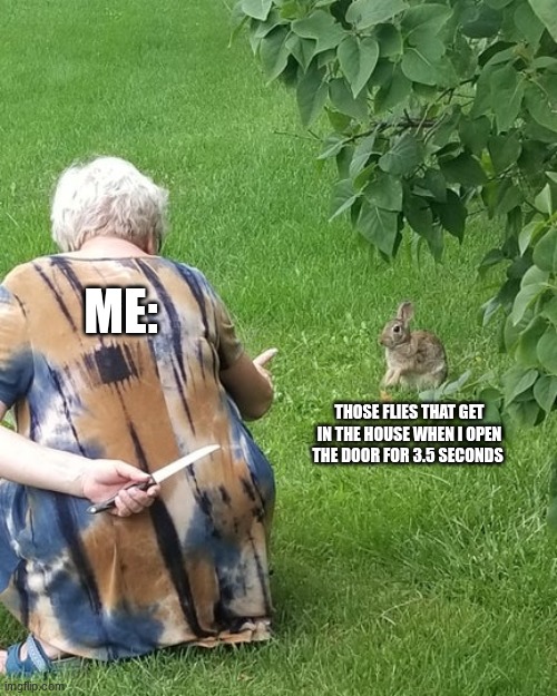 does it trigger you too? | me:; those flies that get in the house when i open the door for 3.5 seconds | image tagged in grandma hiding knife rabbit | made w/ Imgflip meme maker