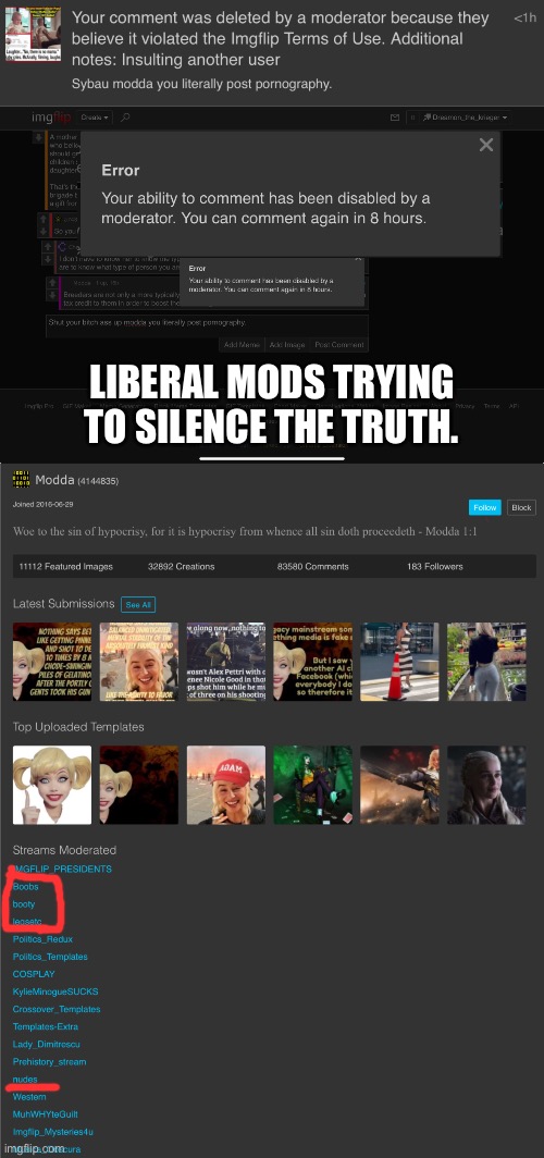 Liberal mods trying to silence the truth. | made w/ Imgflip meme maker
